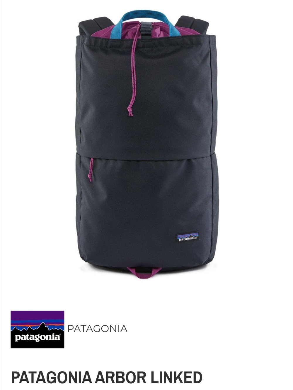 Patagonia Arbor Linked Backpack